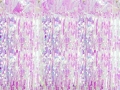 Kurtyna imprezowa lameta opalizująca 90cm x 250cm