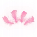 Piora-PIORKA-DEKORACYJNE-krotkie-rozowe-50-szt.jpg