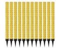 55804.jpg