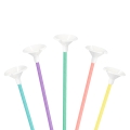 product-image-2.jpg