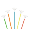 product-image-2.jpg