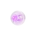 product-image-2.jpg