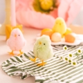 product-image-1.jpg