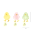product-image-5.jpg