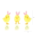 product-image-6.jpg