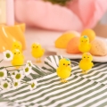 product-image-2.jpg