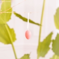 product-image-3.jpg