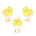 product-image-0.jpg