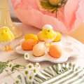 product-image-2.jpg