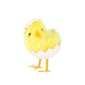 product-image-5.jpg