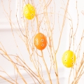 product-image-3.jpg