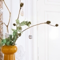 product-image-1.jpg