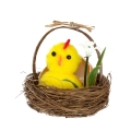 product-image-2.jpg
