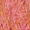 product-image-0.jpg