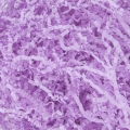 product-image-0.jpg