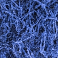 product-image-0.jpg
