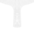 product-image-2.jpg