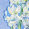 product-image-4.jpg