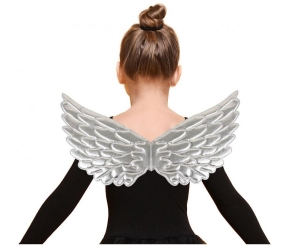 Skrzydła srebrne (45 cm x 21 cm)