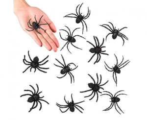 Z Pająki (5 x 6 cm) 12 szt