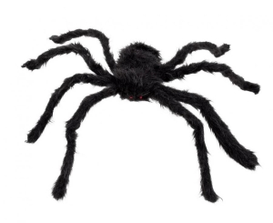 Z Włochaty pająk czarny 50 x 65 cm