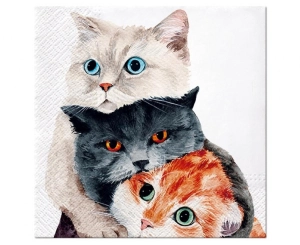 Serwetki papierowe PAW Better Together 33 xm x 33 cm 20 szt