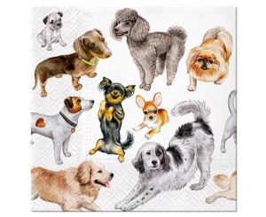 Serwetki papierowe PAW Dogs Happiness 33 xm x 33 cm 20 szt