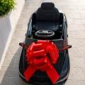 DUZA-KOKARDA-NA-PREZENT-samochod-auto-rower-choinke-CZERWONA-XXL-30-cm-Rodzaj-kokardy.jpg
