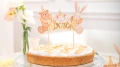 0807d3822d3e695beb26d953fccd0349