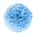 2b34fe085e7e6907a7759f50a53aad9c