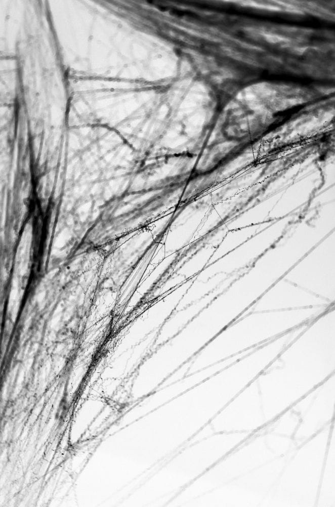 Sztuczna pajęczyna czarna na Halloween 60g