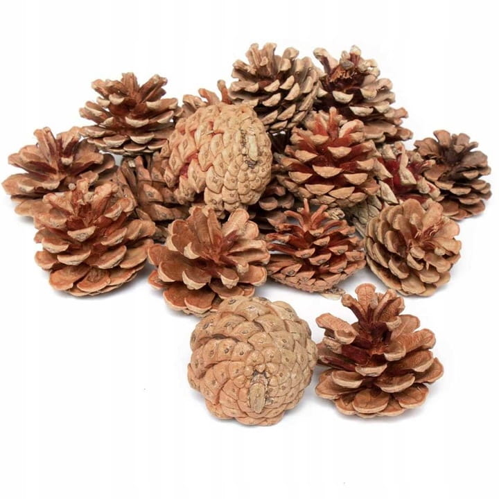 Szyszki-naturalne-Sosnowe-na-Choinke-Szyszki-na-Stroik-500g.jpg