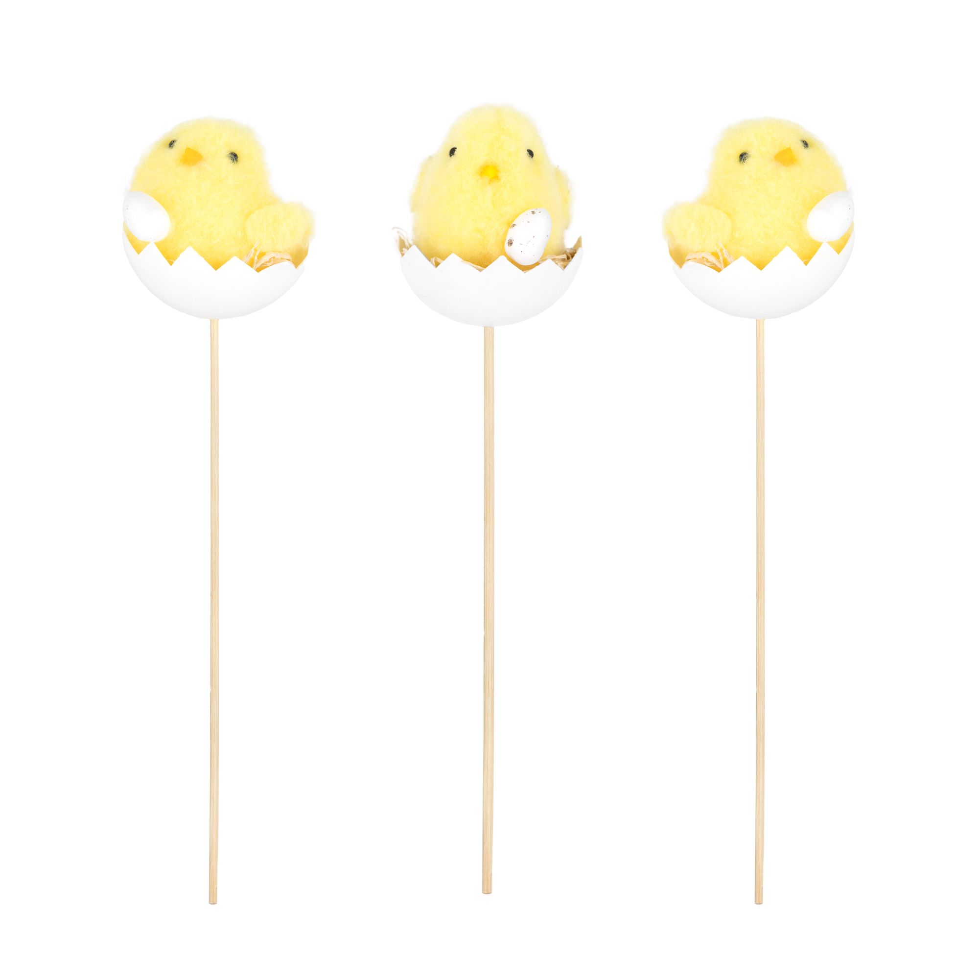 product-image-0.jpg
