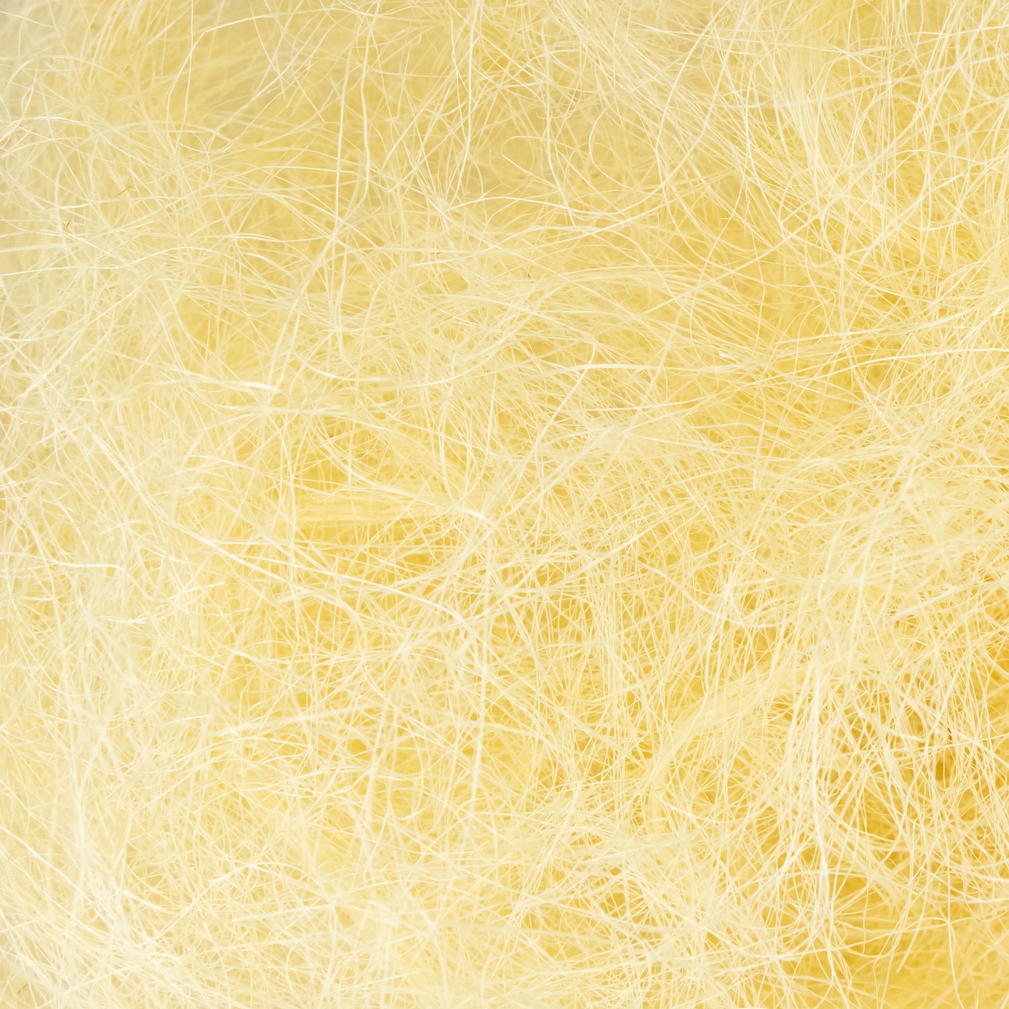 product-image-0.jpg