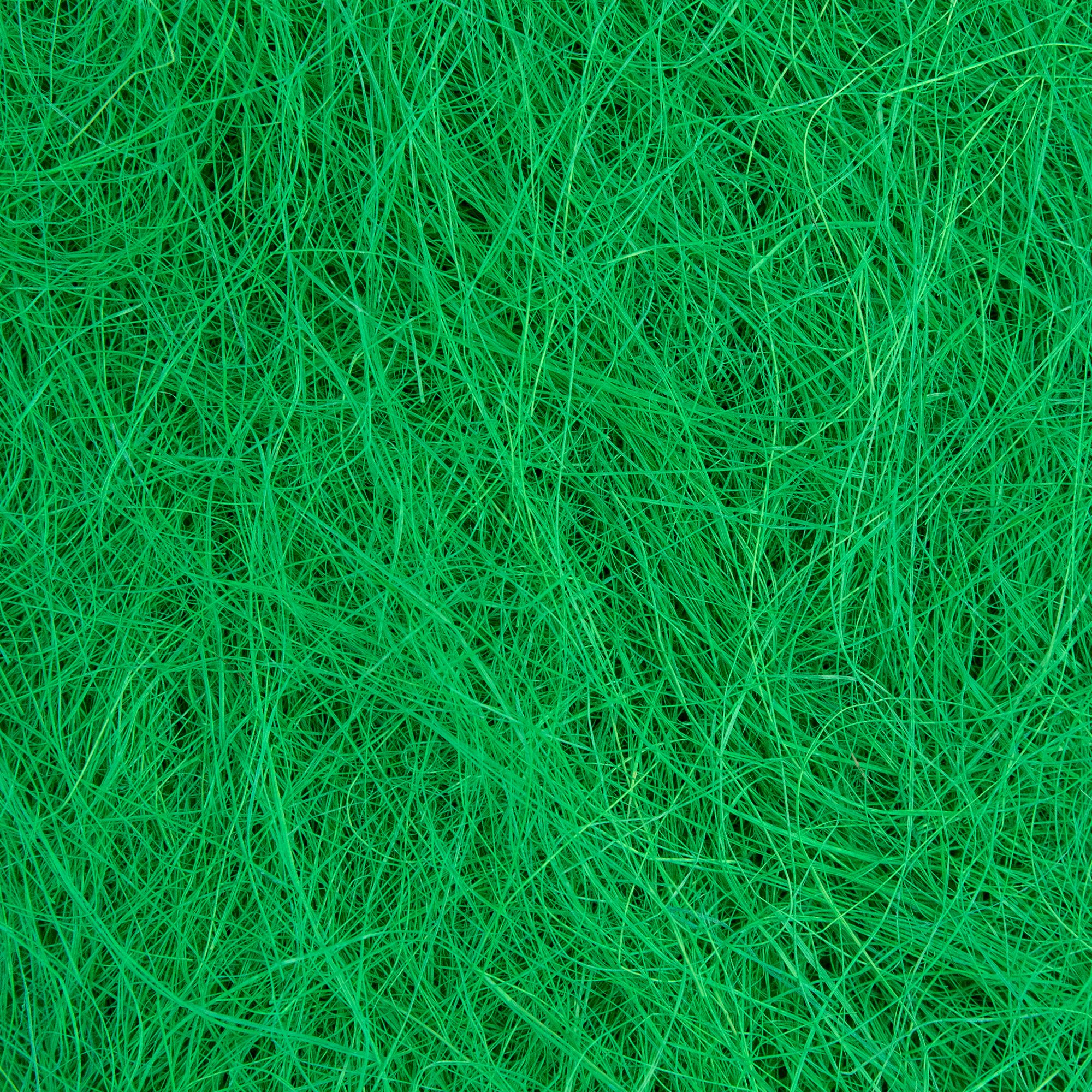 product-image-0.jpg
