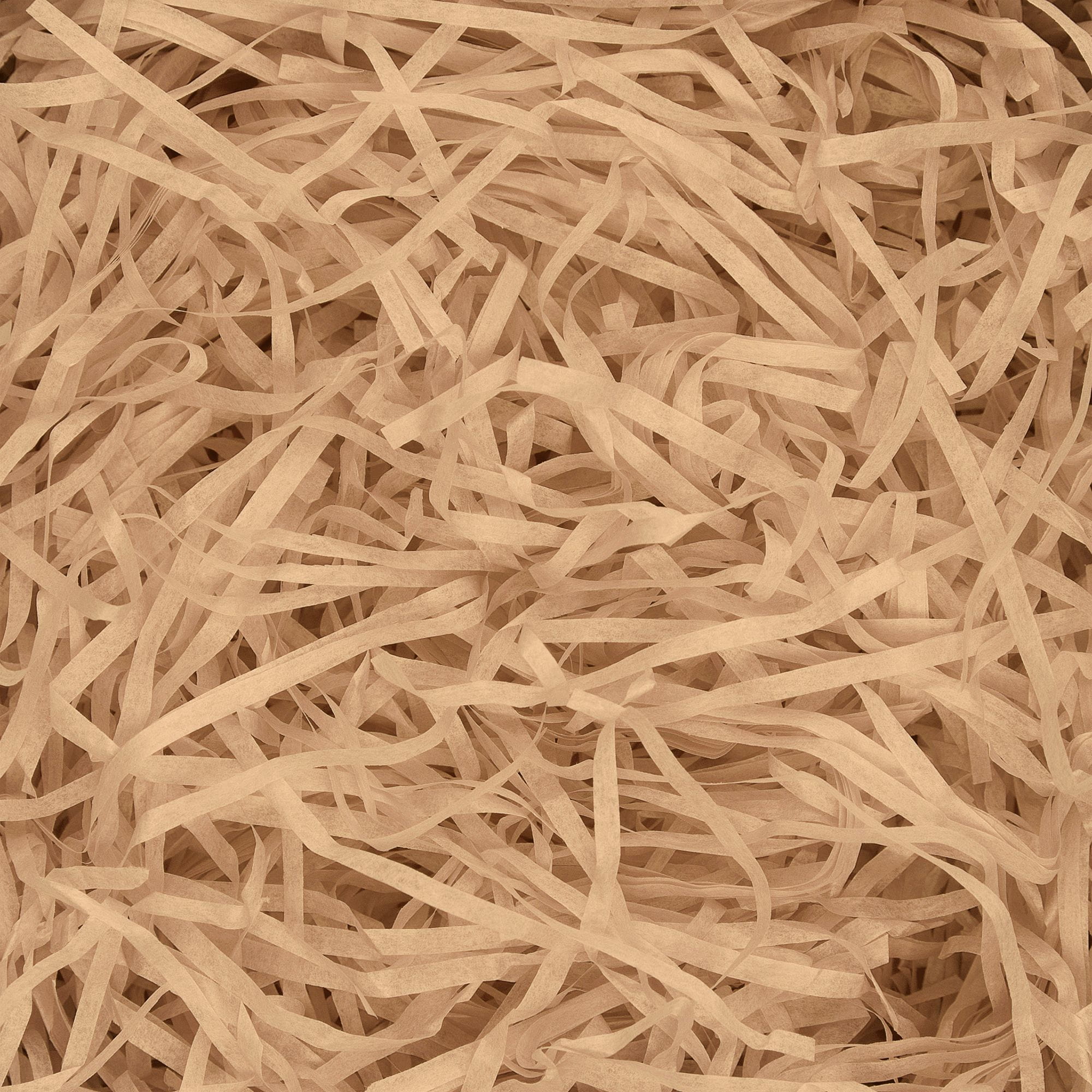 product-image-0.jpg