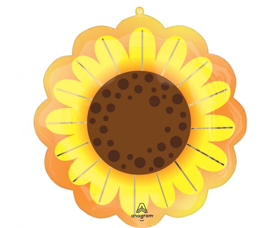 5185c4281a041d8a5d9b8c02e11bf075