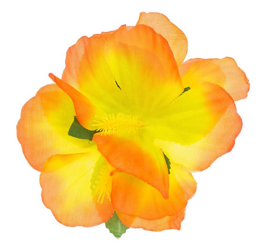 61c277c5b852a7a6bd24e446302f0d3e